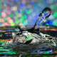 Illustration for article titled Shooting Challenge: Water Drop Gallery Part 2